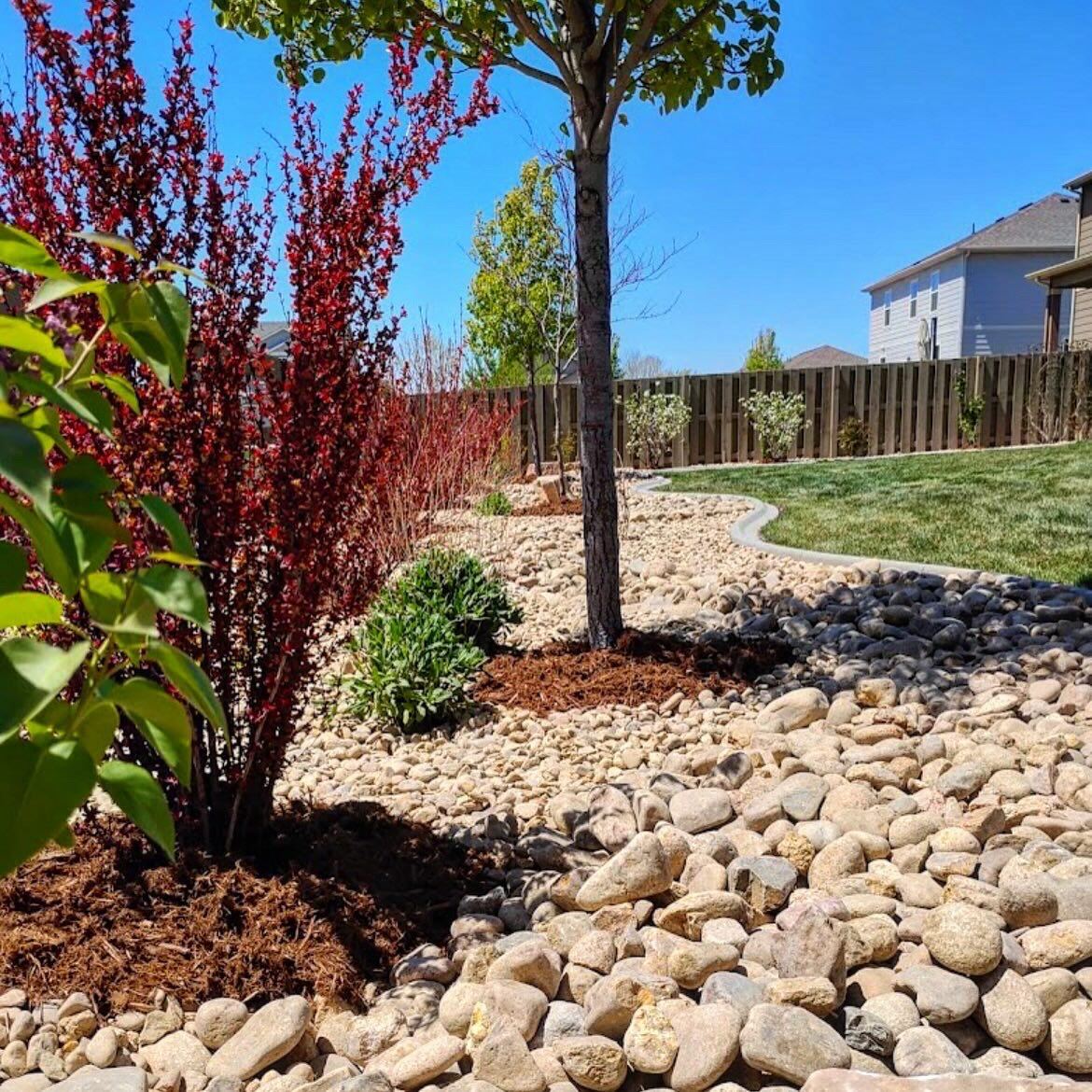 Dry creek bed with red barberry. Color: Spring 2025.